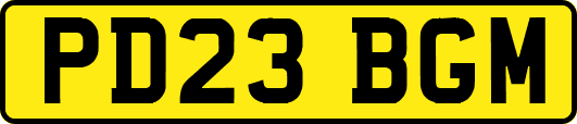 PD23BGM