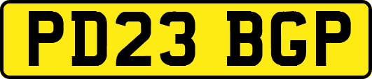 PD23BGP