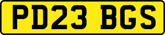 PD23BGS