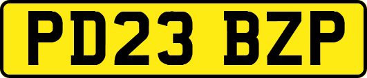 PD23BZP
