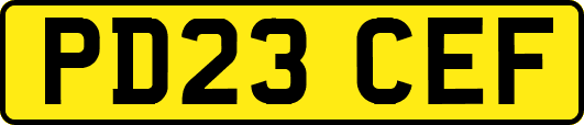 PD23CEF
