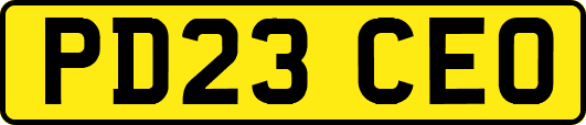 PD23CEO