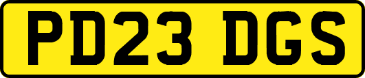 PD23DGS