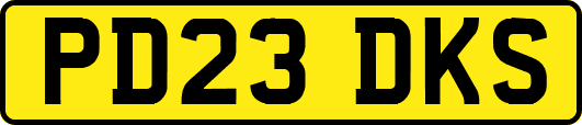 PD23DKS