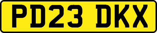 PD23DKX