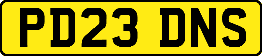 PD23DNS
