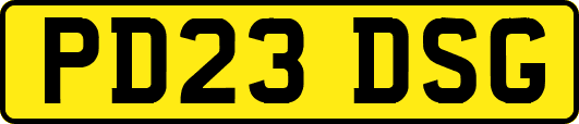 PD23DSG