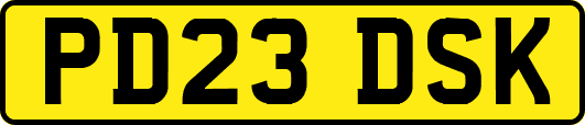 PD23DSK