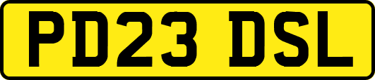 PD23DSL