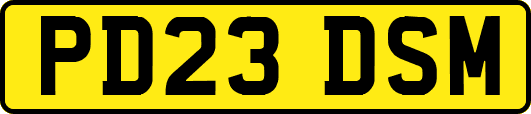 PD23DSM