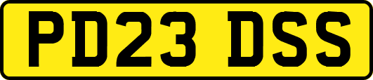 PD23DSS