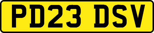PD23DSV