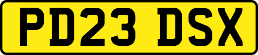 PD23DSX
