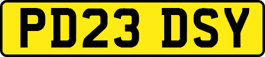 PD23DSY