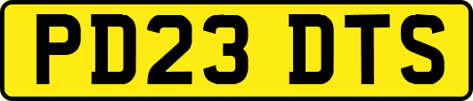 PD23DTS