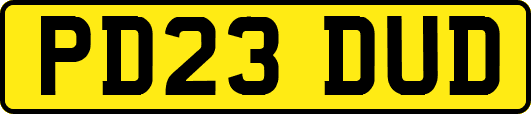 PD23DUD