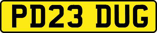 PD23DUG