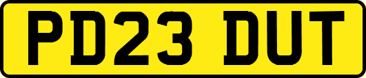 PD23DUT