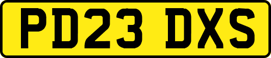 PD23DXS