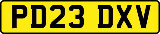 PD23DXV