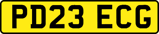 PD23ECG