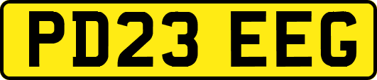 PD23EEG
