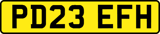 PD23EFH