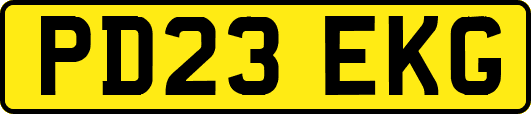 PD23EKG