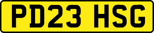 PD23HSG