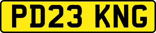 PD23KNG