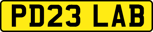 PD23LAB