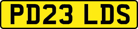 PD23LDS