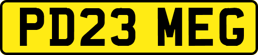PD23MEG