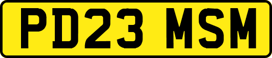 PD23MSM
