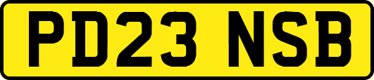 PD23NSB
