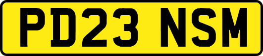 PD23NSM