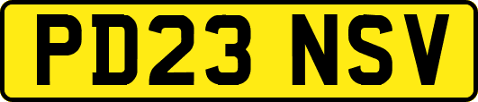 PD23NSV