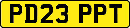 PD23PPT