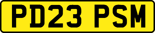 PD23PSM
