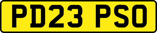 PD23PSO