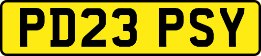 PD23PSY