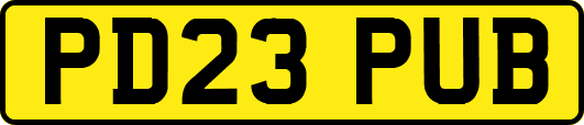 PD23PUB