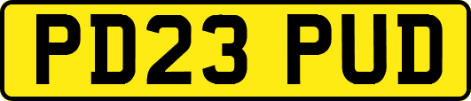 PD23PUD
