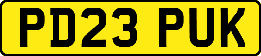PD23PUK
