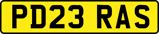 PD23RAS