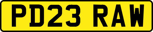 PD23RAW
