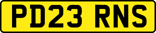 PD23RNS