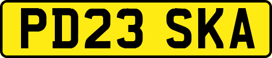 PD23SKA