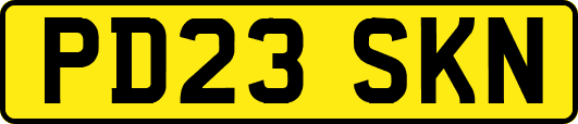 PD23SKN