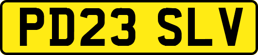 PD23SLV